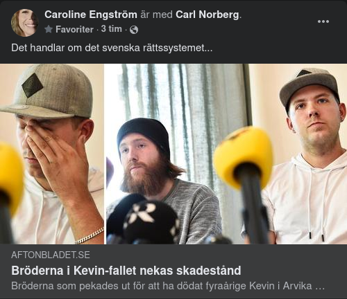 Det Svenska Rättssystemet...