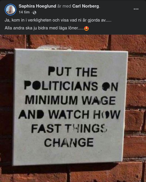 Framtida Minimilöneyrke