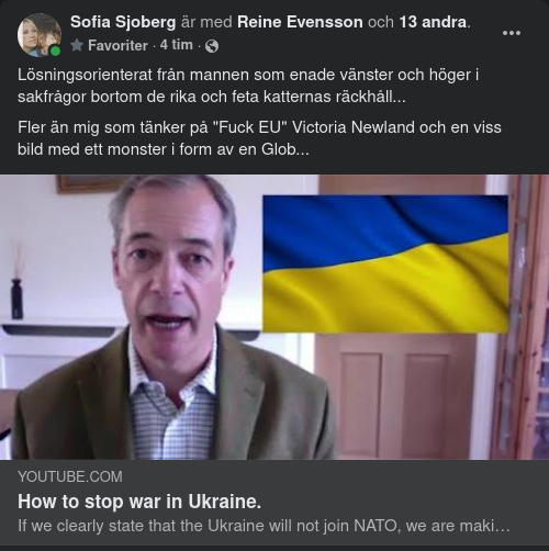 Lösningsorienterad Farage