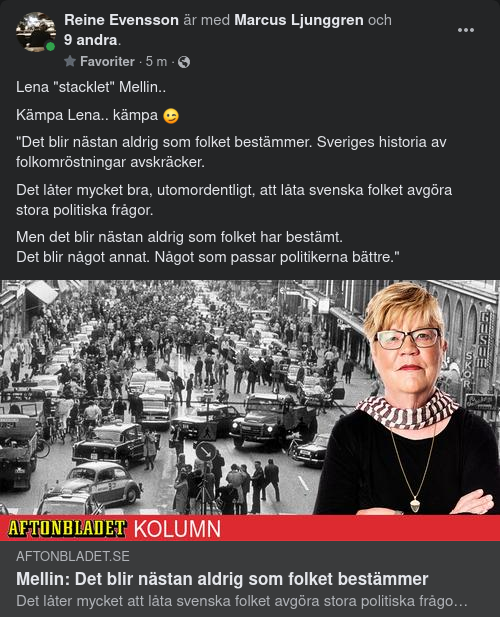 Stackelkämpande Mellin Om Folkomröstningar