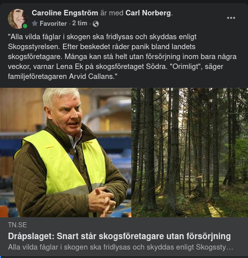 Allmänt Fågelfrilysande & Skogsföretag