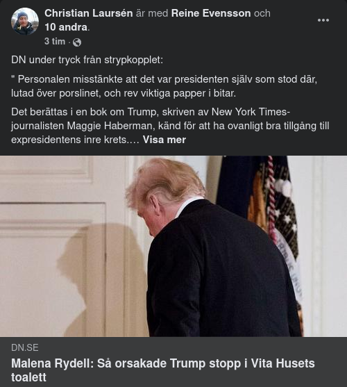 Trump Över Porslinet I DN
