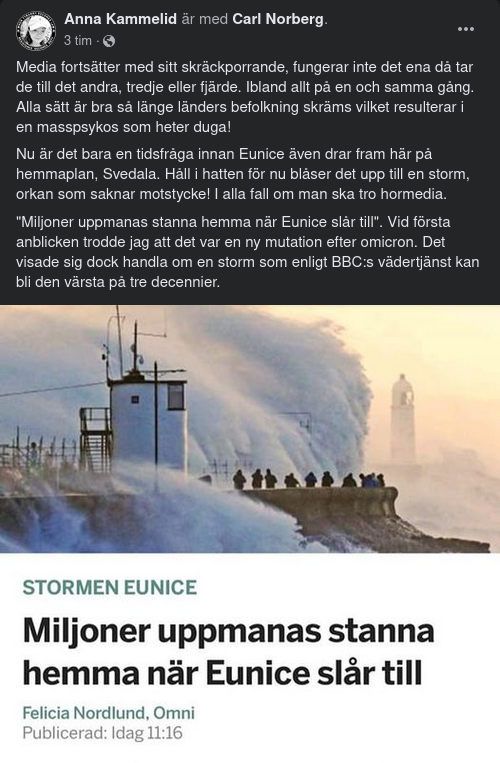 Stormskräcksporr