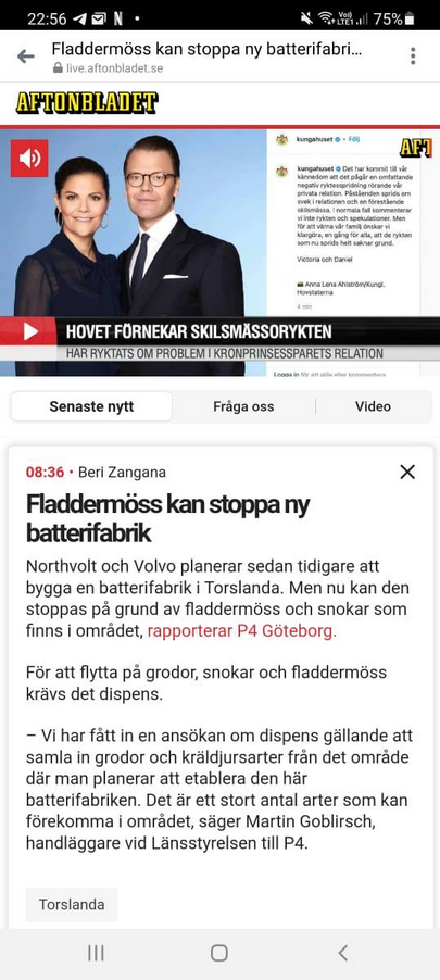 Batterifabriksstoppande Fladdermöss?