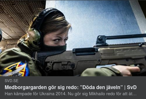 Ukrainska Feministkrigare