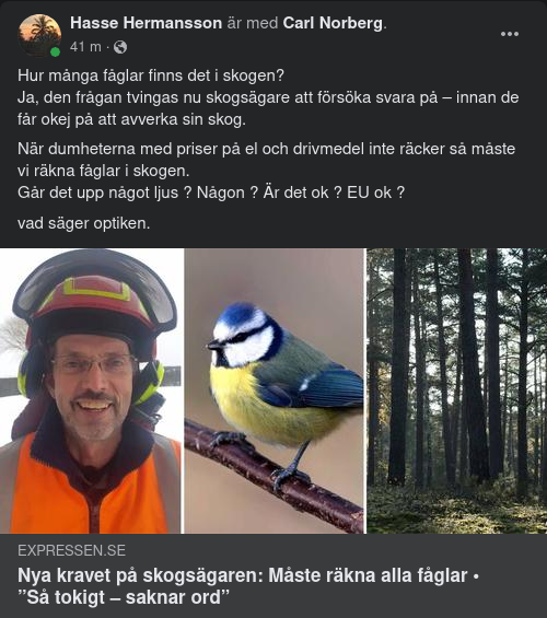 Fågel I Hand & Fågel I Skog