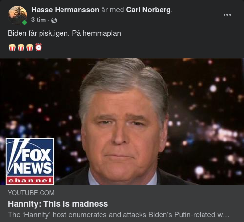 Amerikansk Hemmaopinionsbildande