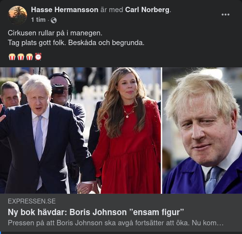 Ensam BoJo I Bok