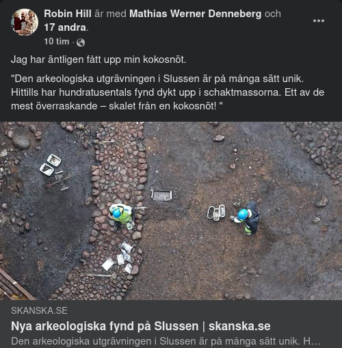 Arkeologisk Kokosnöt Funnen På Slussen