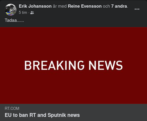 EU Bannar RT & Sputnik