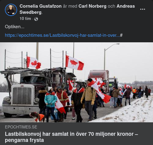 Optiskt Fryst Finansieringsstöd