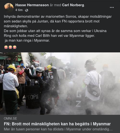 FN, Möjliga Brott Mot Mänskligheten I Myanmar & Frihetsberövanden I Ukraina