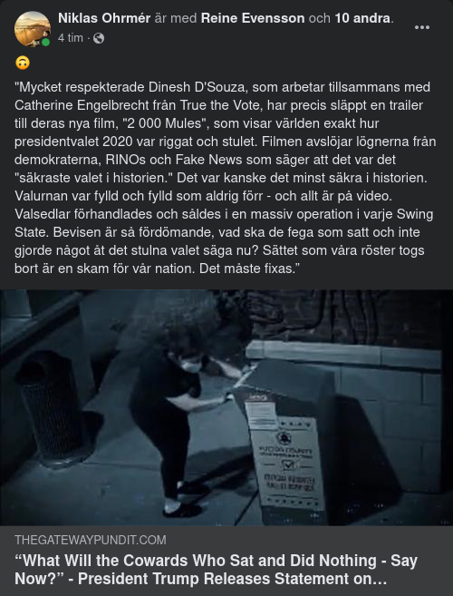 2000 Mules Trailer Från D'Souza