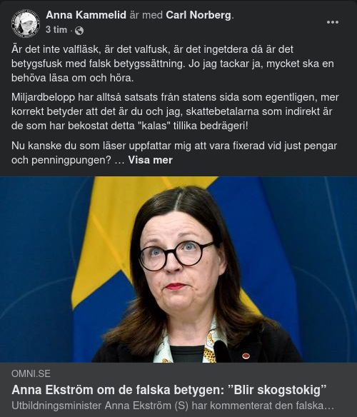 Betygsfusk Gör Ministern Skogstokig