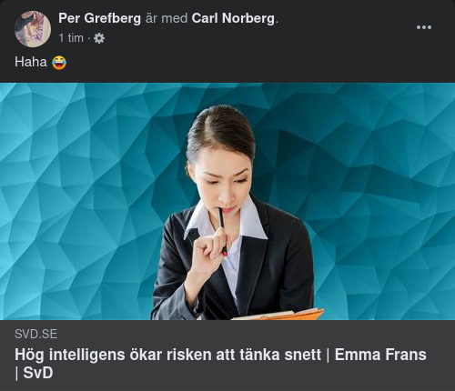 Intelligent Snedtänk