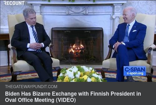 Biden & Niinistö