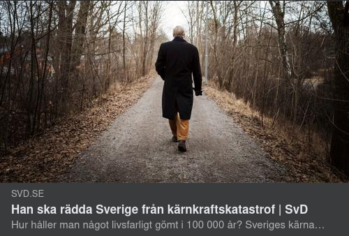 Långt Kärnperspektiv