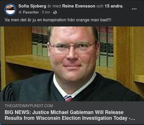 Valfuskutredning I Wisconsin Offentliggjord