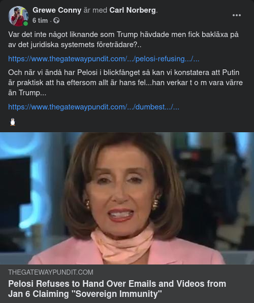 Kommunikationsutlämningsvägrande Pelosi Skyller Inflationen På Putin