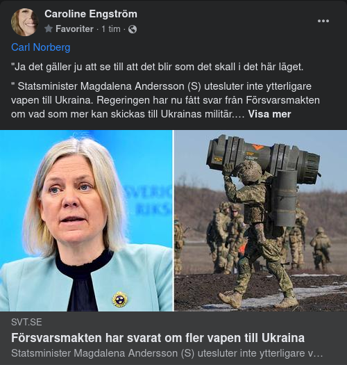 Magdalena Utesluter Inte Mer Svenska Vapen Till Ukraina