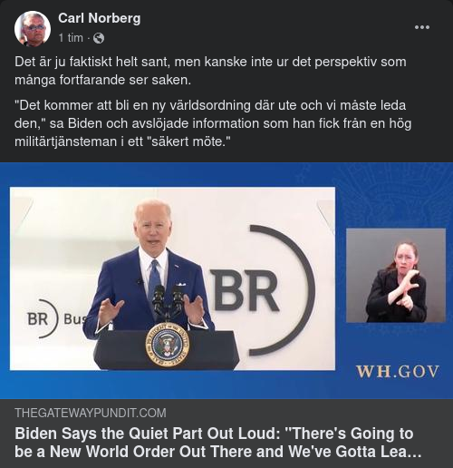 Ledande Världsordning