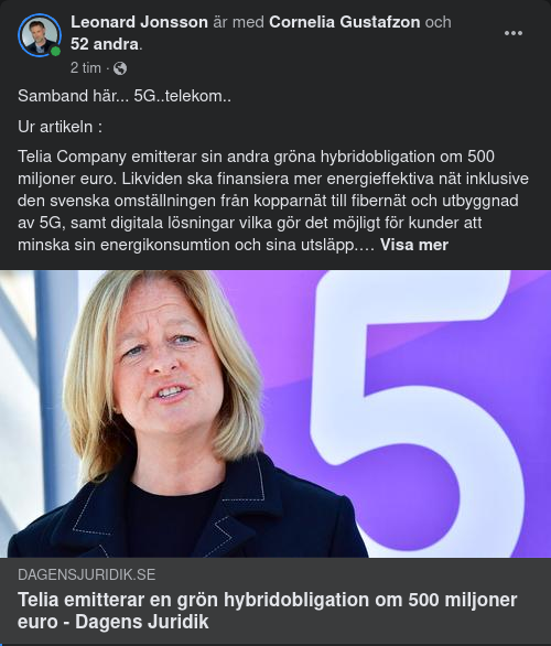 Räntebelastad Skuld Som Grön Hybridobligation