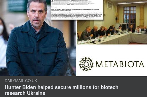 Hunters Ukrainska Korruption I Daily Mail