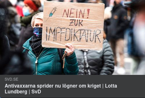 Huvudmosande Lundberg I SvD