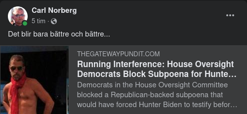 Demokrater Skyddar Hunter