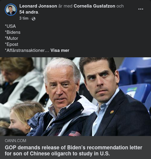 Bidens Kinesiska Rekommendationsbrev
