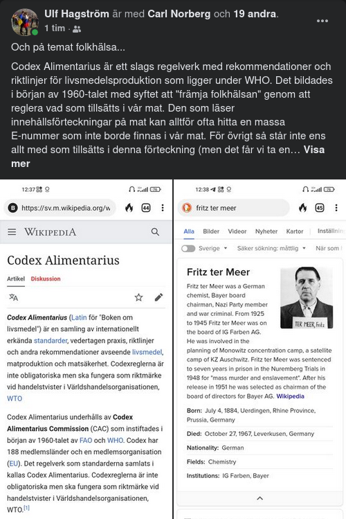 Codex Alimentarius, WHO & Nazisten Fritz ter Meer