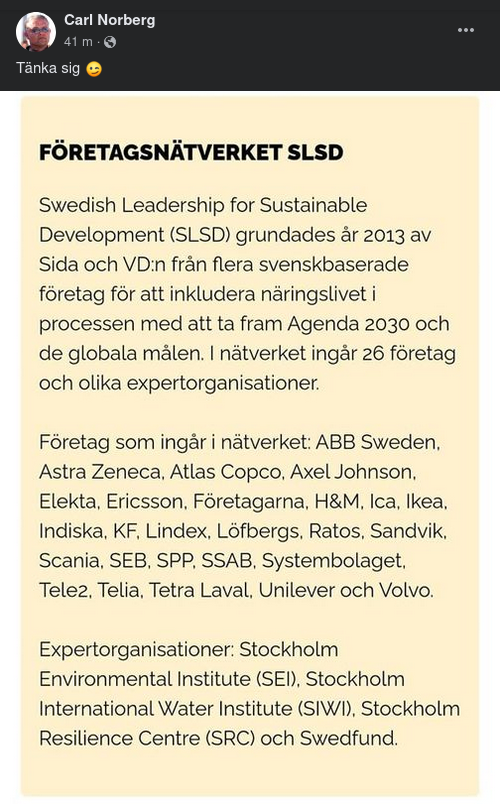 Företagsnätverket SLSD