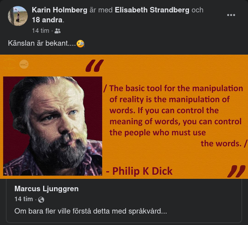 Språkvårdande Ordkontroll