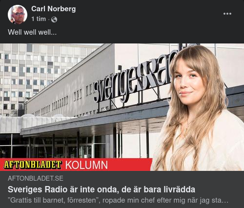 Svensk Mediechefsrädsla