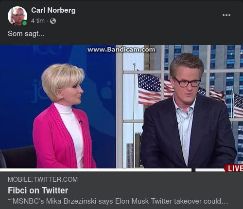 Mikas Jobbuppgiftsbeskrivning