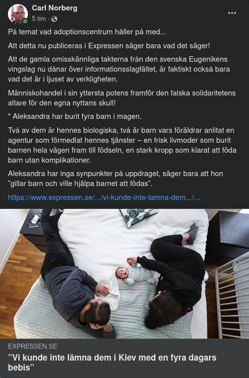 Ukrainsk Surrogatmamma