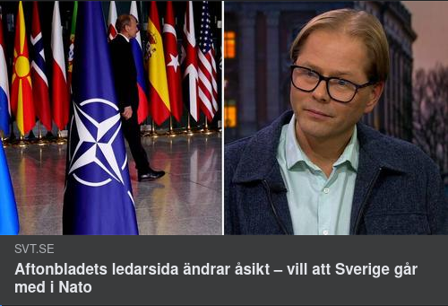 Sååå Seriös Ormtunga