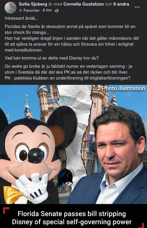 DeSantis & Disney