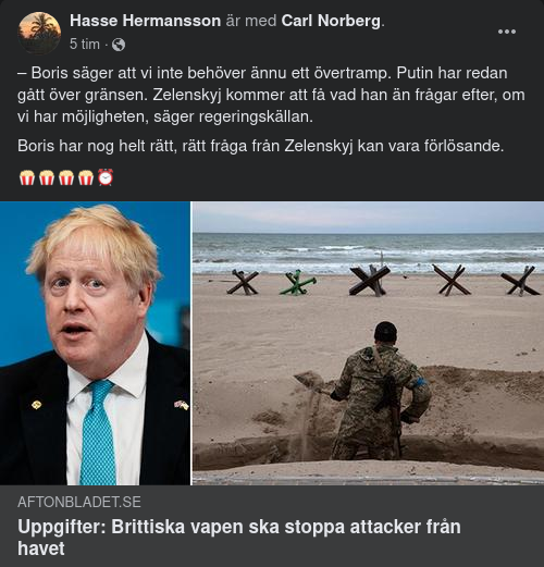 Boris Lovar Zelinsky Vad Han Vill Om Möjligt