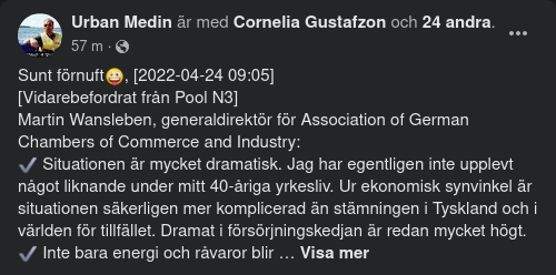 Energilös Tysk Köpmannasyn Utan Skuldmättnad