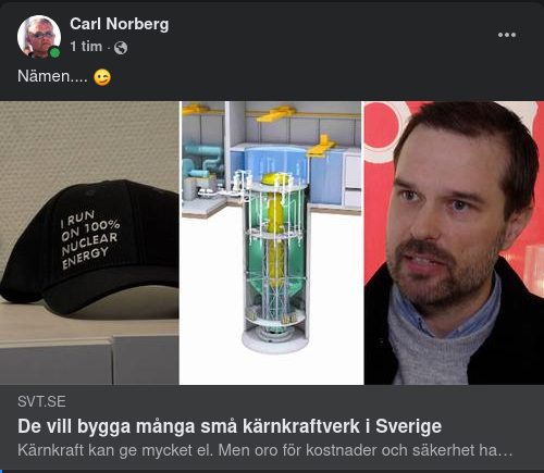 Villiga Bygga Små Kärnkraftverk