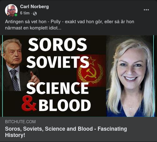 Det Ena Eller Det Andra