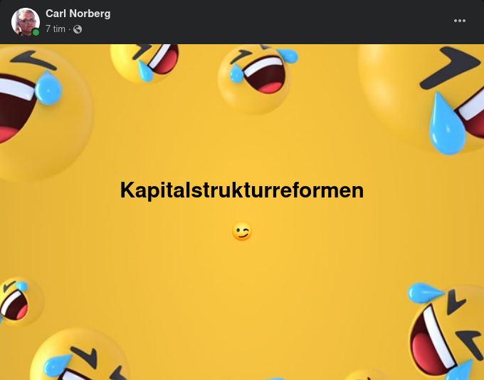 Kapitalstrukturreformen...