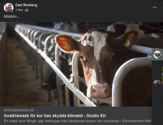 Klimatskyddande Ko-Ansiktsmask