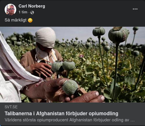 Talibanerna Förbjuder Opiumodling
