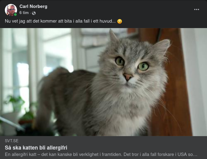 Genklippt & Allergifri Katt