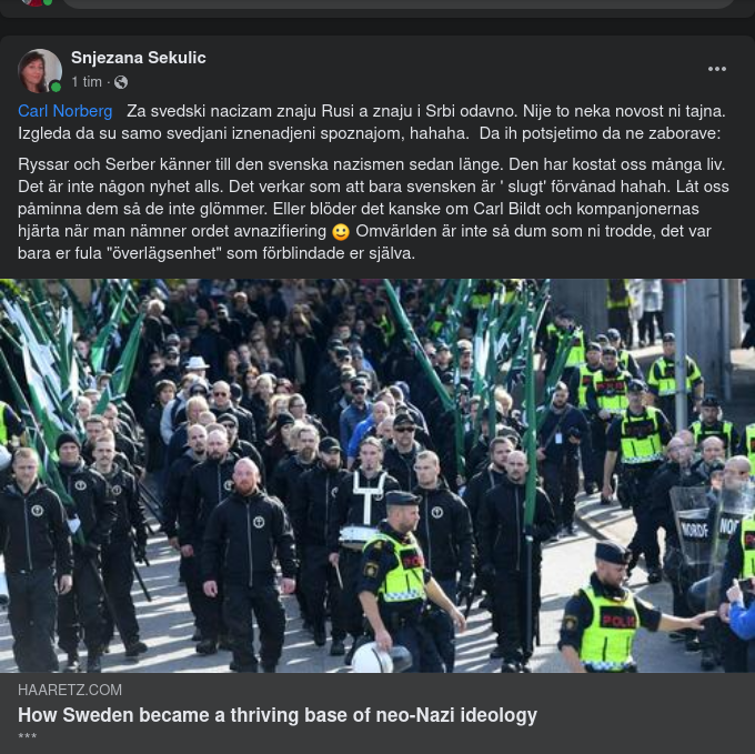 Frodig Svensk Neo-Nazismideologi