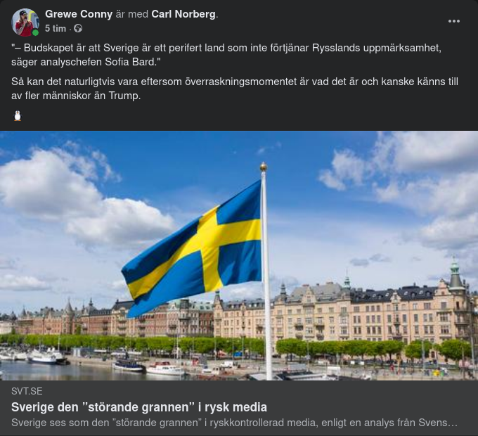 Den Störande Grannen Sverige