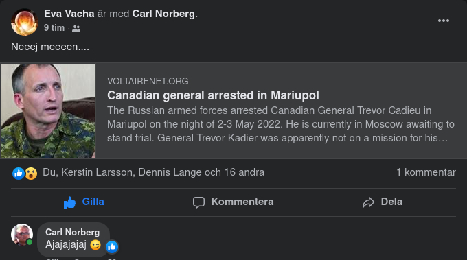 Kanadensisk General Tagen I Mariupol