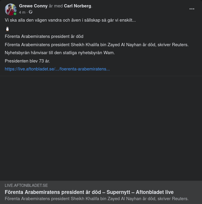 Förenta Arabemiratens President Död